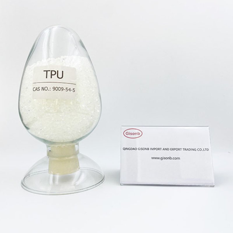 -1_0000_TPU GISONB